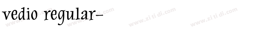 vedio regular字体转换